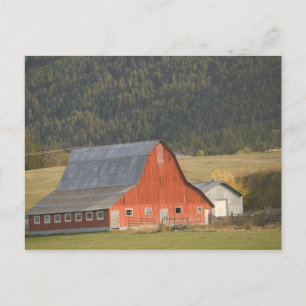 KANADA, British Columbia, Enderby. Rote Scheune / Postkarte