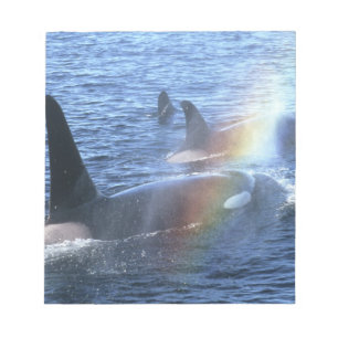 Kanada, British Columbia, Johnstone Straight, Notizblock