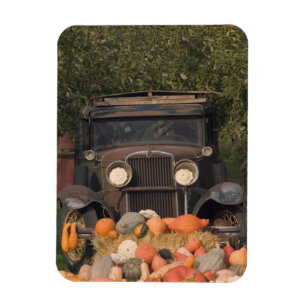 KANADA, British Columbia, Keremeos. Herbst / 2 Magnet