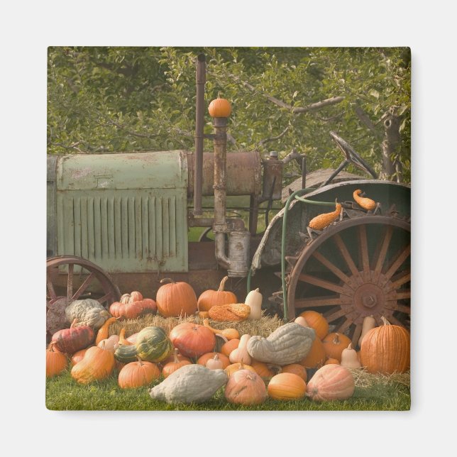 KANADA, British Columbia, Keremeos. Herbst / 2 Magnet (Vorne)