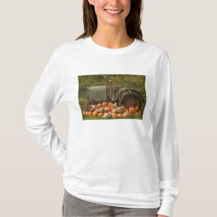 KANADA, British Columbia, Keremeos. Herbst / 2 T-Shirt