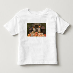 KANADA, British Columbia, Keremeos. Herbst / Kleinkind T-shirt