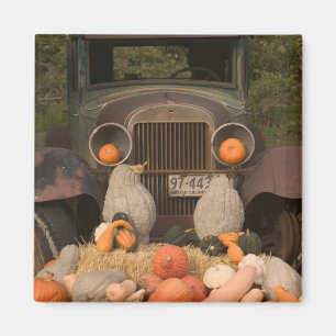 KANADA, British Columbia, Keremeos. Herbst / Magnet