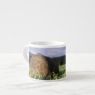 Kanada, British Columbia, Kitwanga.gelb Espressotasse