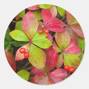 Kanada, British Columbia, Mount Robson Runder Aufkleber