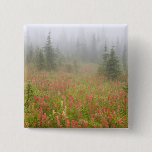 Kanada, British Columbia, Revelstoke National Button