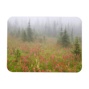 Kanada, British Columbia, Revelstoke National Magnet