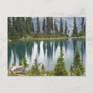 Kanada, British Columbia, Revelstoke National Postkarte