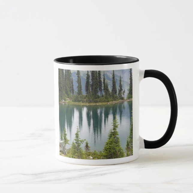 Kanada, British Columbia, Revelstoke National Tasse (Rechts)