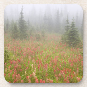 Kanada, British Columbia, Revelstoke National Untersetzer