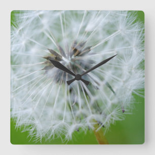 Kanada, British Columbia, Vancouver Island 4 Quadratische Wanduhr