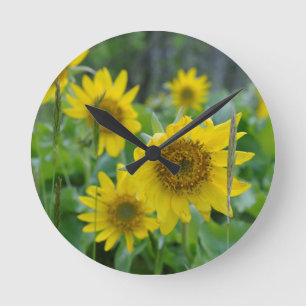 Kanada, British Columbia, Vancouver Island 5 Runde Wanduhr