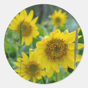 Kanada, British Columbia, Vancouver Island 5 Runder Aufkleber