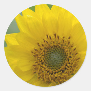 Kanada, British Columbia, Vancouver Island 7 Runder Aufkleber