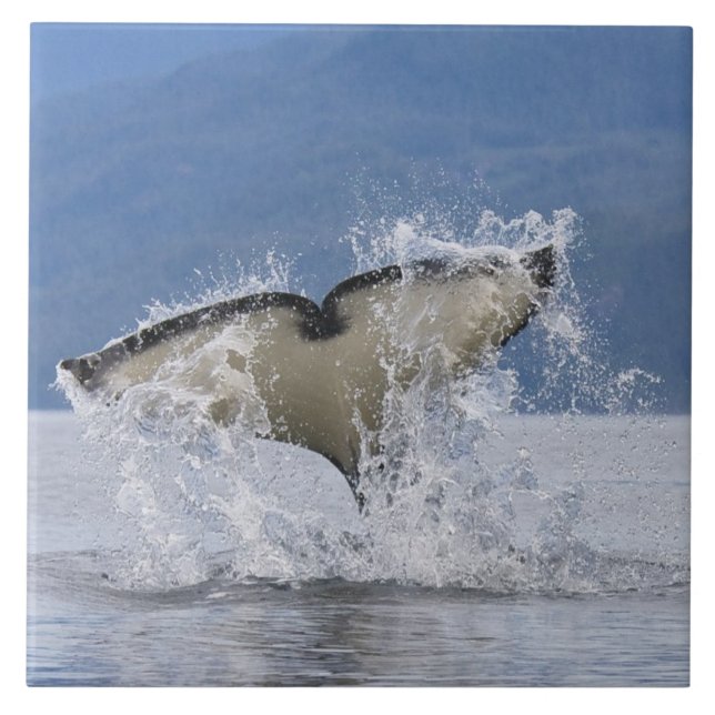 Kanada, British Columbia, Vancouver Island, Fliese (Vorderseite)