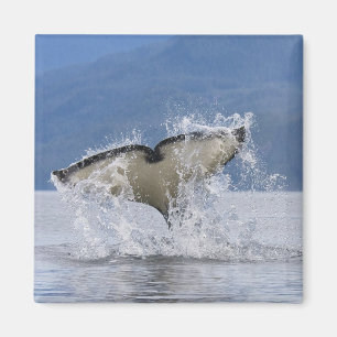 Kanada, British Columbia, Vancouver Island, Magnet