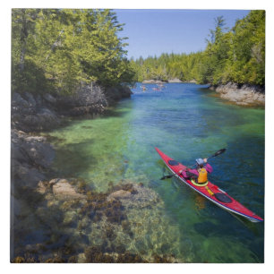 Kanada, British Columbia, Vancouver Island.Meeresm Fliese