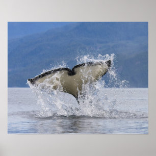 Kanada, British Columbia, Vancouver Island, Poster