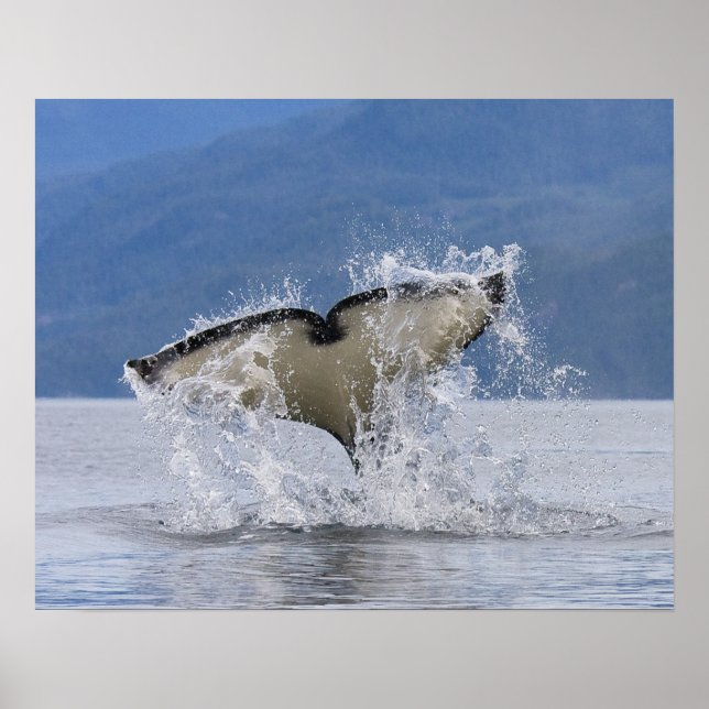 Kanada, British Columbia, Vancouver Island, Poster (Vorne)