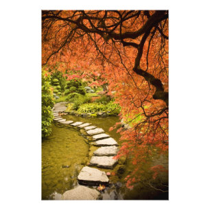 KANADA, British Columbia, Victoria. Herbst Fotodruck