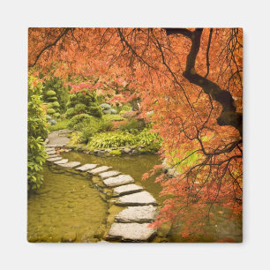 KANADA, British Columbia, Victoria. Herbst Magnet