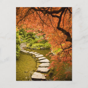 KANADA, British Columbia, Victoria. Herbst Postkarte