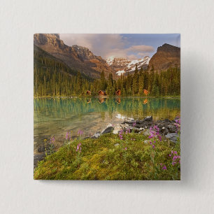 Kanada, British Columbia, Yoho National Park.2 Button