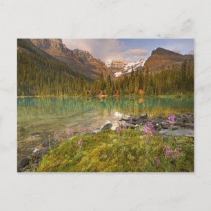 Kanada, British Columbia, Yoho National Park. 2 Postkarte