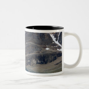 Kanada, British Columbia, Yoho National Park. Zweifarbige Tasse