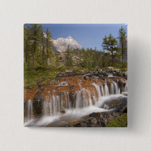 Kanada, British Columbia, Yoho-Nationalpark. 2 Button