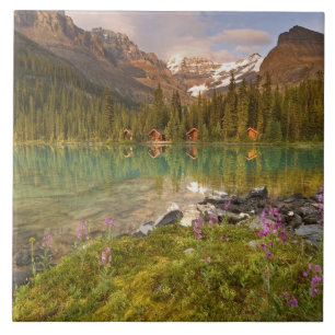Kanada, British Columbia, Yoho-Nationalpark. 2 Fliese