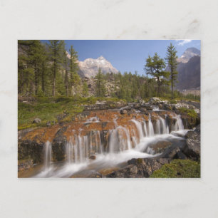 Kanada, British Columbia, Yoho-Nationalpark. 2 Postkarte