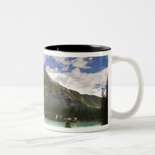 Kanada, British Columbia, Yoho-Nationalpark. 3 Zweifarbige Tasse