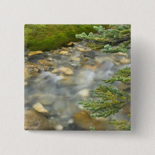 Kanada, British Columbia, Yoho-Nationalpark. 4 Button