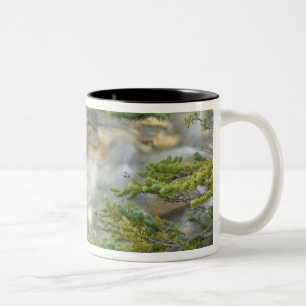 Kanada, British Columbia, Yoho-Nationalpark. 4 Zweifarbige Tasse