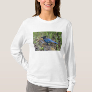 Kanada: British Columbia, Yoho NP, Diademhäher, T-Shirt