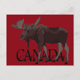 Kanada-Elch-Postkarten Kanadische Souvenir-Postkar Postkarte