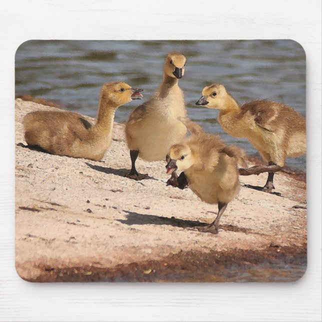 Kanada-Gans-Gänschen Mousepad (Vorne)