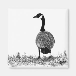 Kanada-Gans-Magnet Magnet
