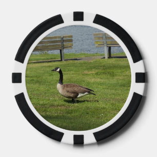 Kanada-Gans Pokerchips
