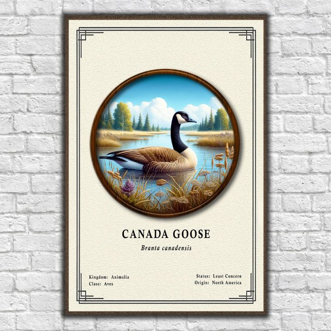 Kanada-Gans Zoologie-Serie Poster (Von Creator hochgeladen)