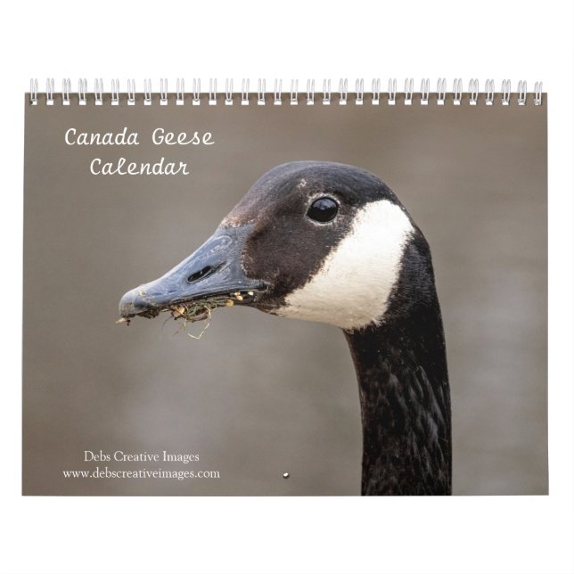 Kanada Gänse 2026 Kalender (Titelbild)