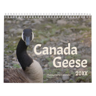Kanada Gänse 20XX (1) Kalender