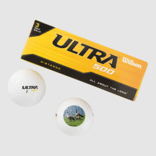 Kanada Gänse auf dem Gras von Water Golf Ball