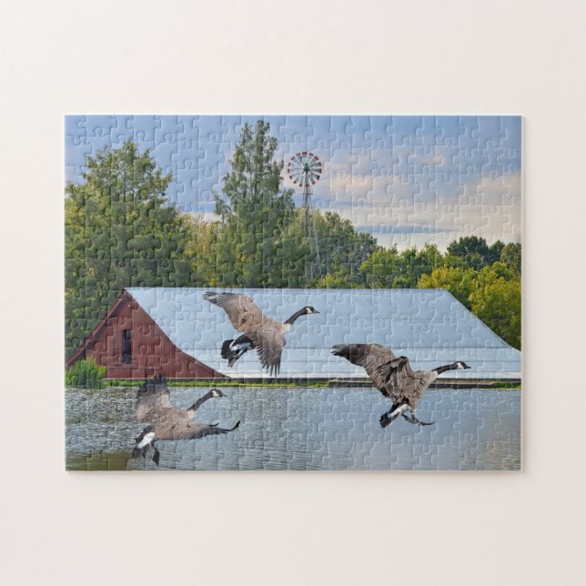 Kanada-Gänse, die auf dem Teich landen Puzzle (Horizontal)