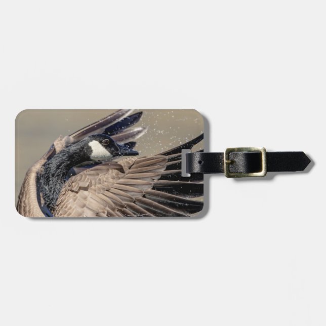Kanada Gänse Gepäckanhänger (Vorderseite horizontal)