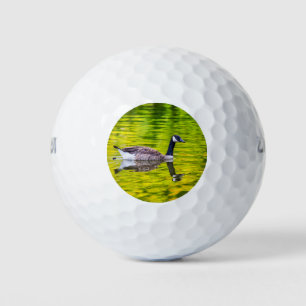 Kanada Gänse Golfball