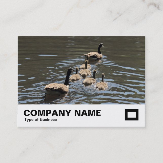 Kanada Gänse mit Goslings Visitenkarte (Vorderseite)