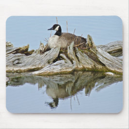 Kanada Gänse Mousepad
