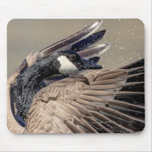 Kanada Gänse Mousepad